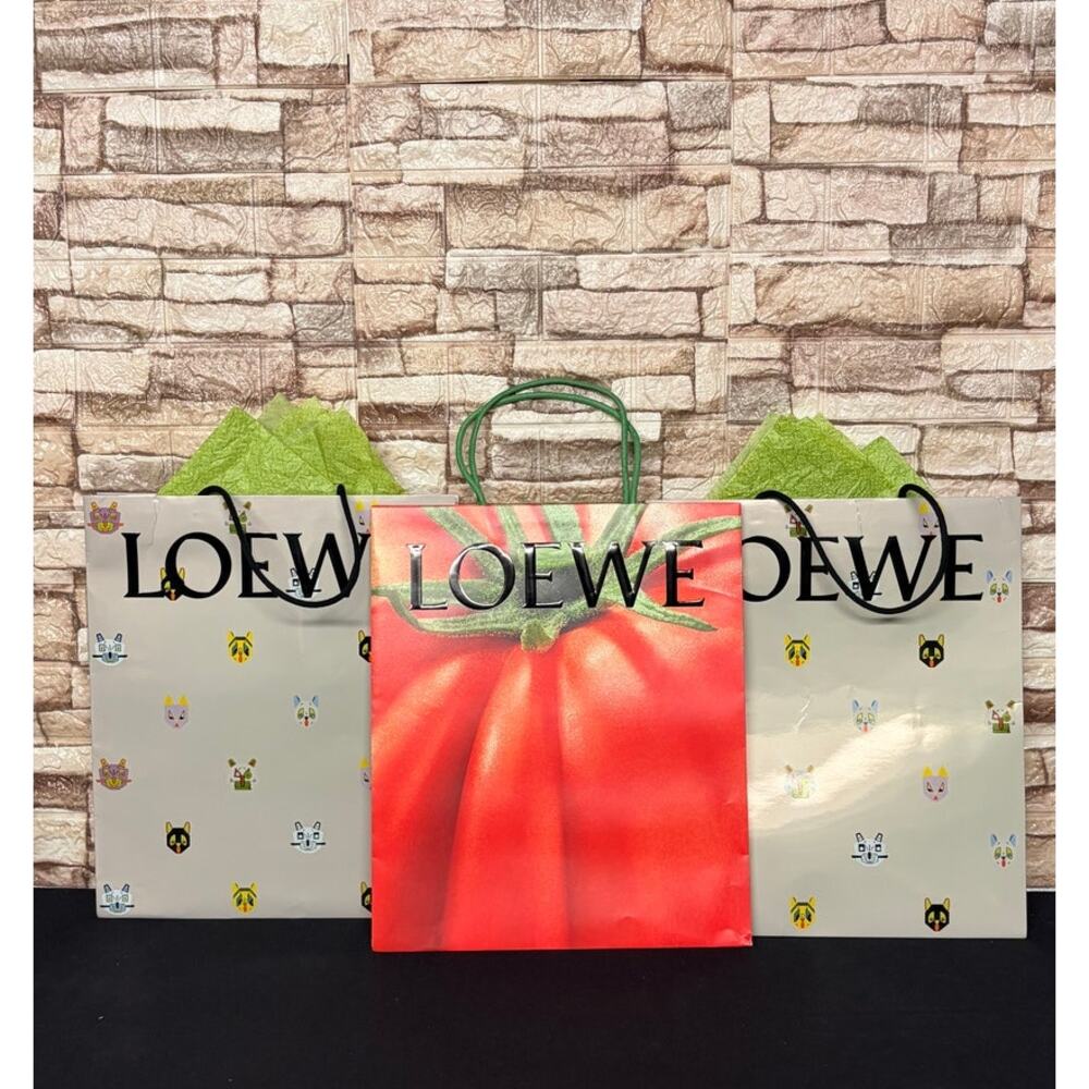 LOEWE Shopping Bag Bundle 3 total with Loewe paper